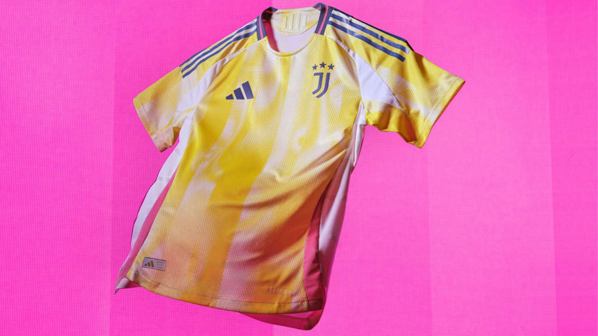 杯的夺冠热 杯的夺冠热