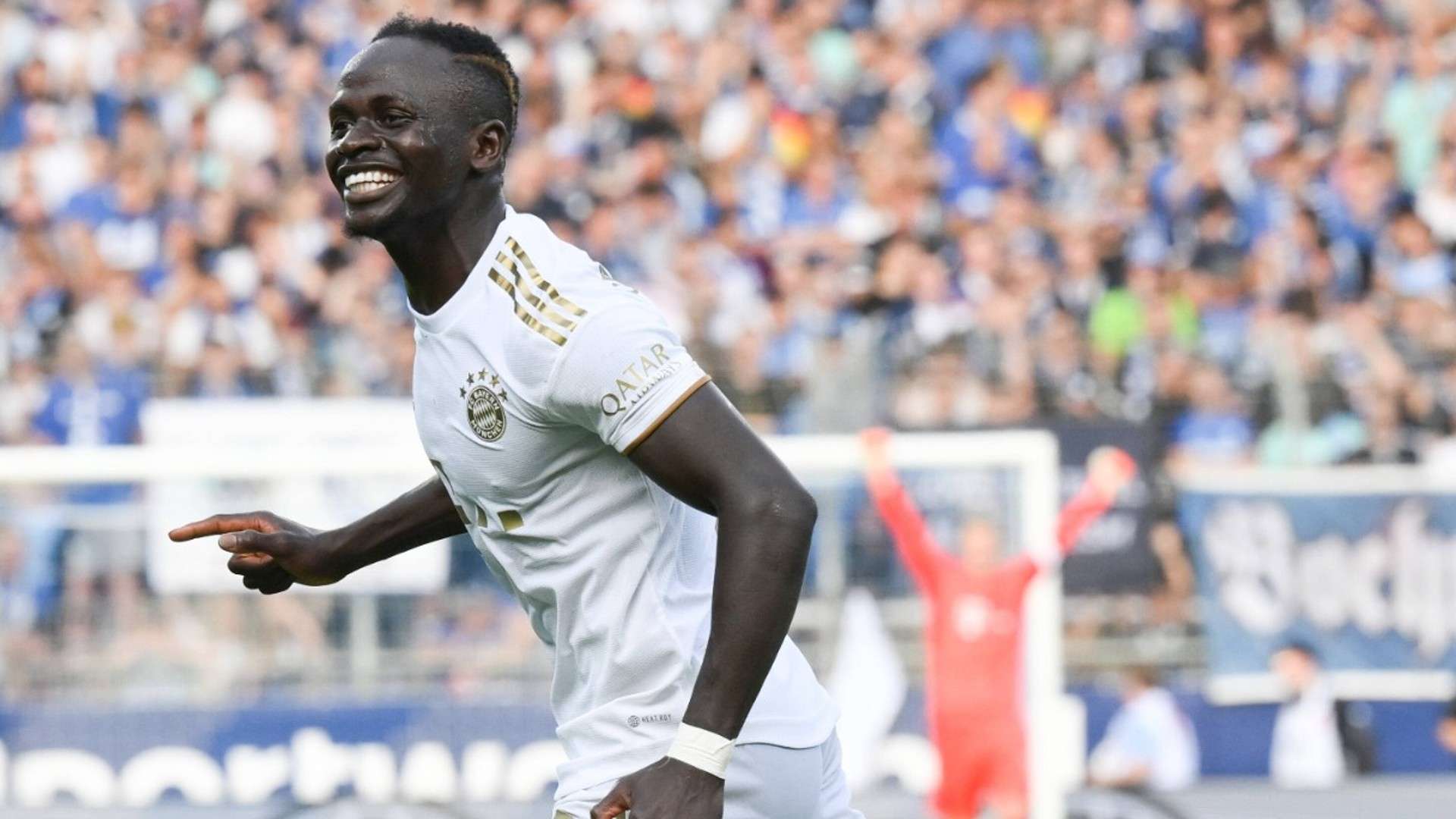 或政策调整 或政策调整